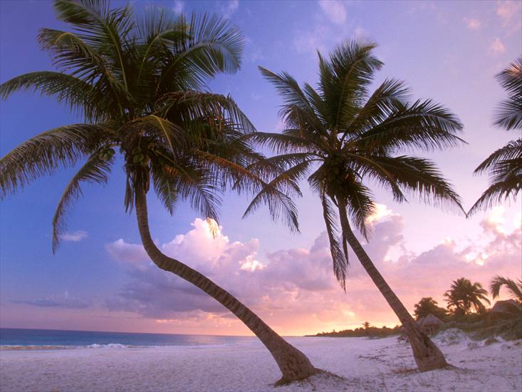  Plaże - Sultry Sways, Near Cancun, Mexico - 1600x1200 - .jpg