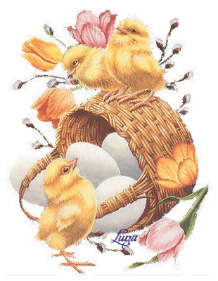  Wielkanocne - kurczaki41.png