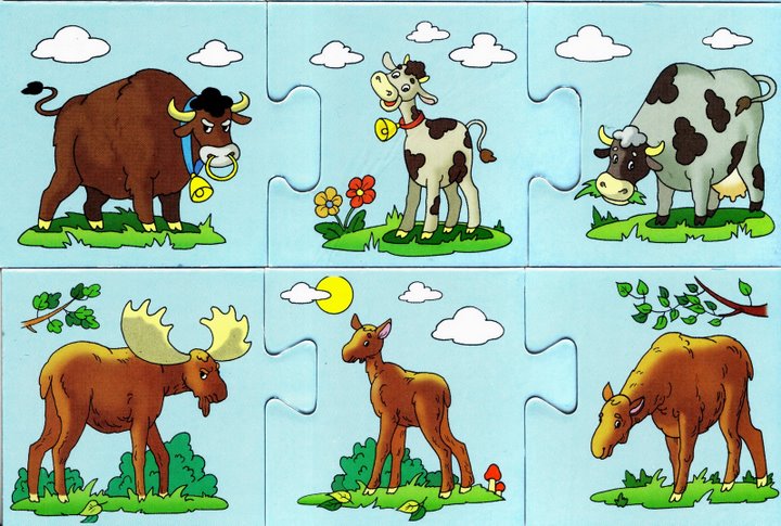 zwierzęta i ch rodziny - rodzina - łoś, krowa.jpg