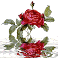 kwiaty w wodzie - rosereflet1.gif